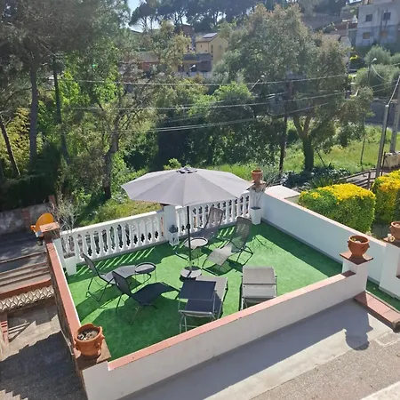 Toro Massanet De La Selva